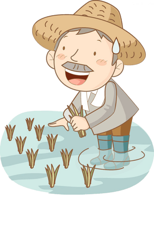 水稻丰收图片大全