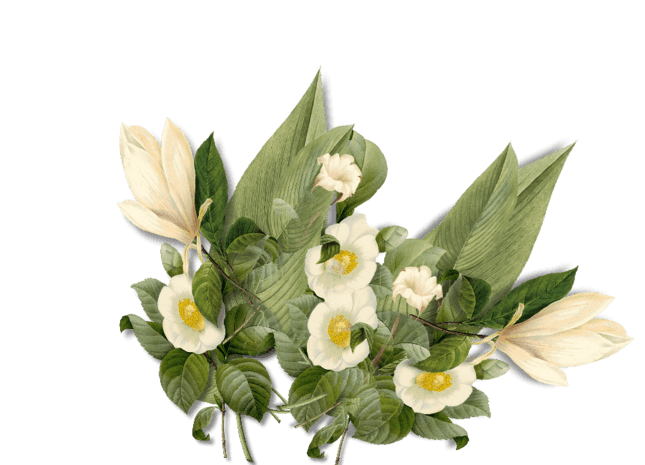 春天素材图图片大全 春天素材图图片素材 Png免费下载 90设计网