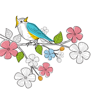 手绘彩色枝头上的鸟