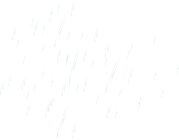 下雨雨图片大全