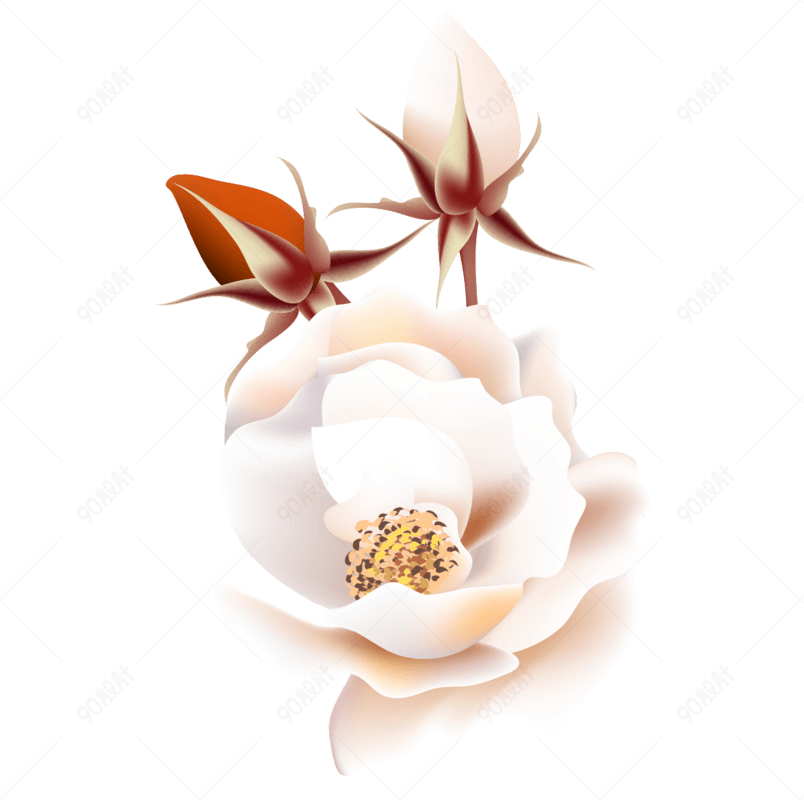 手绘花和花骨朵