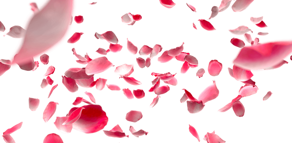 小花瓣装饰图片大全