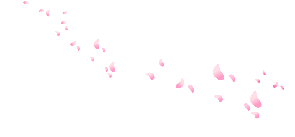 小花瓣装饰图片大全