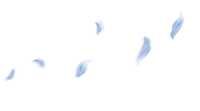 彩绘花瓣图片大全_彩绘花瓣图片素材【png免费下载】-90设计网