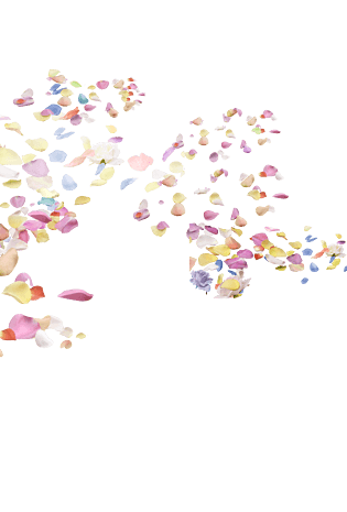 彩色花瓣高清png素材