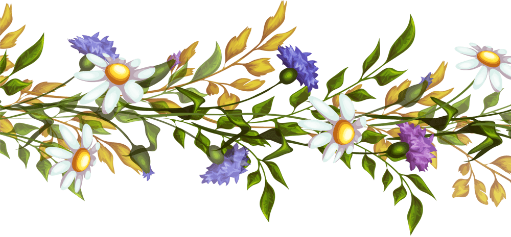 精品新图片热门收藏热门下载默认排序:花草卡通全