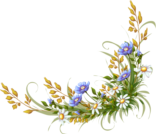 花园卡通矢量图片大全_花园卡通矢量图片素材【png免费下载】-90设计