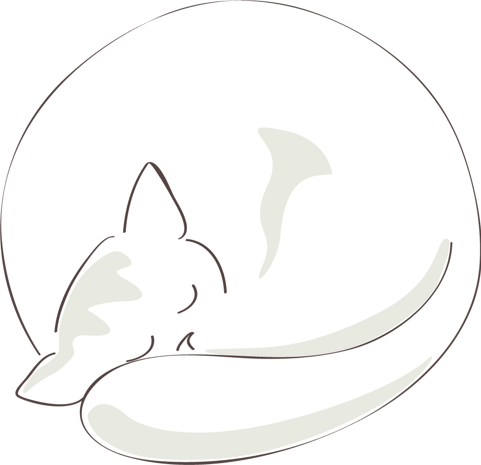 睡着的白色猫咪