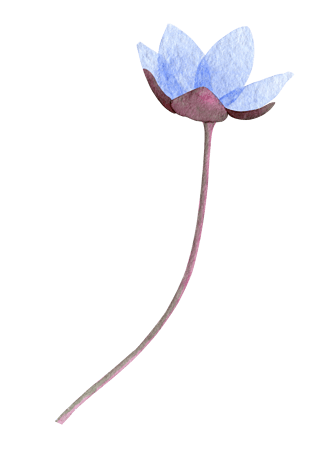 莲花卡通图片大全