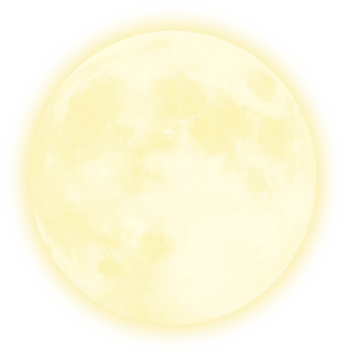 圆圆的图片大全