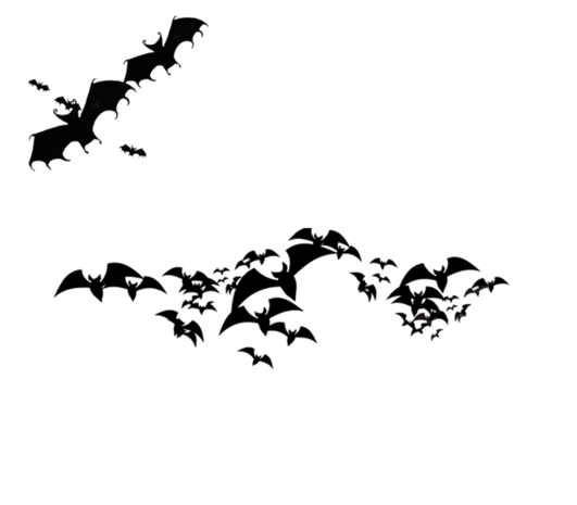 蝙蝠图案图片大全
