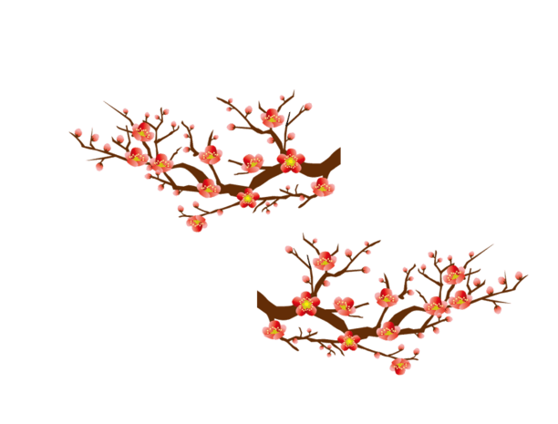 梅花图片图片大全