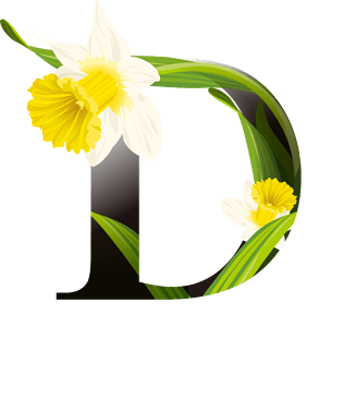 创意字母d图片大全