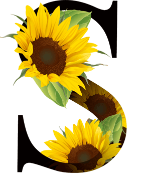 s艺术字图片大全