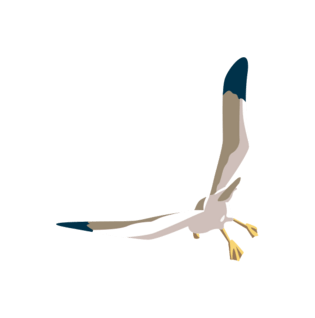 卡通飞翔的海鸥