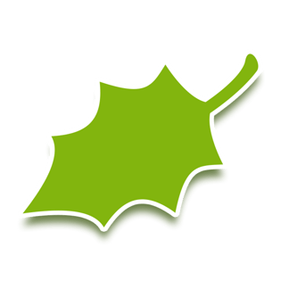 手绘绿色对话框边框pngpsd2000*2000卡通手绘绿色气泡云朵对话框边框