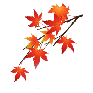 树叶水墨画图片大全