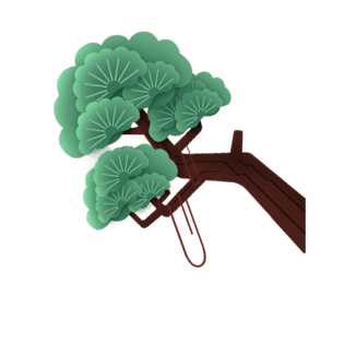 扁平风苍松松树