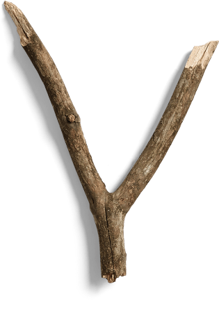 树干树枝卡通图片大全