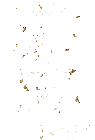 金片色光片图片大全_金片色光片图片素材【png免费下载】-90设计网