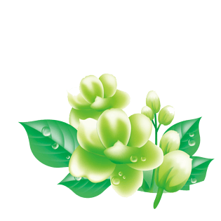 茉莉矢量图片大全