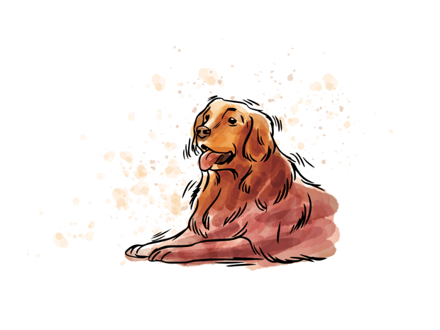 毛球卡通毛动物卡通金猪金猪卡通金毛 小金毛狗金毛狗狗金毛相关推荐