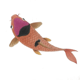 鱼儿游泳图片大全