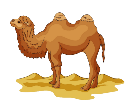骆驼素材图片大全