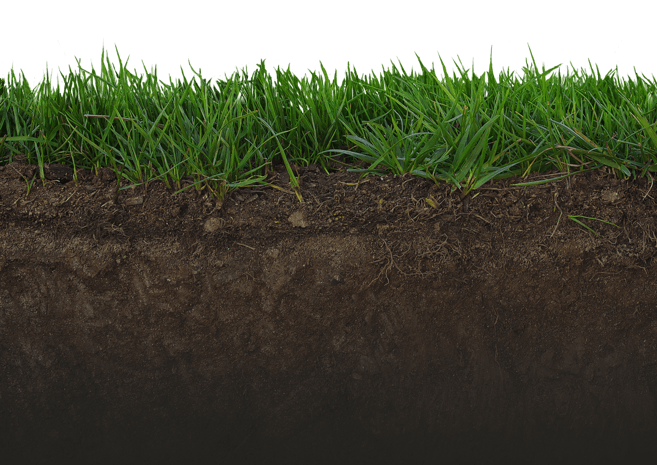 草地背景图片大全_草地背景图片素材【png免费下载】-90设计网