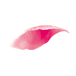 漂浮彩图片大全