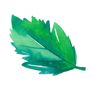 卡通手绘五彩树叶