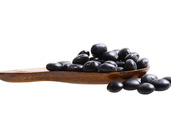 黑豆,图片大全_黑豆,图片素材【png免费下载】-90设计网