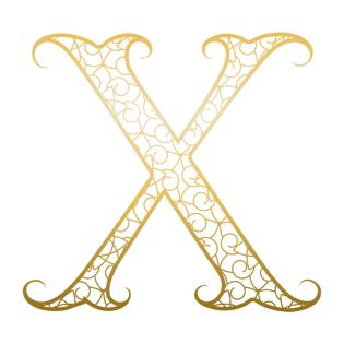 x字母花式字体图片