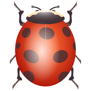 七星瓢虫简笔画图片大全