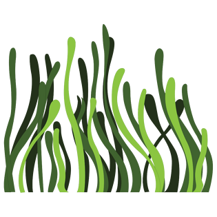 水草卡通图片大全