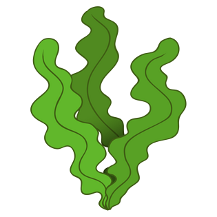 水草卡通图片大全