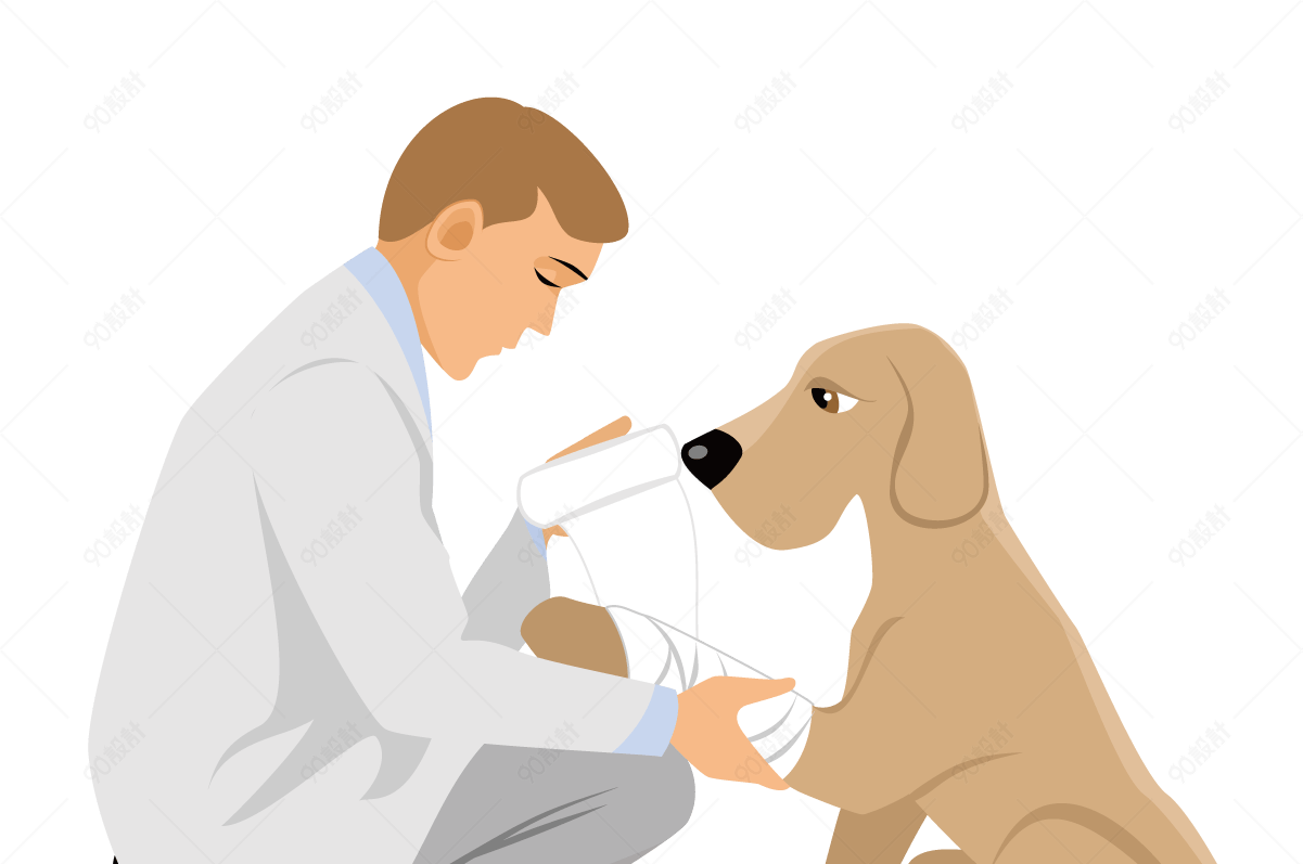 动物医生和狗狗