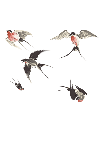 鸟燕子图片大全