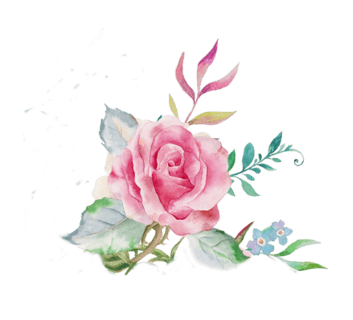 手绘粉色玫瑰花图片大全 手绘粉色玫瑰花图片素材 Png免费下载 90设计网