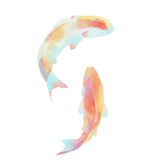 两条彩色的鱼手绘插画