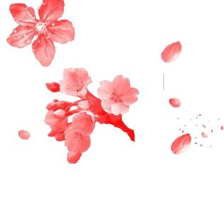 撒花花瓣图片大全