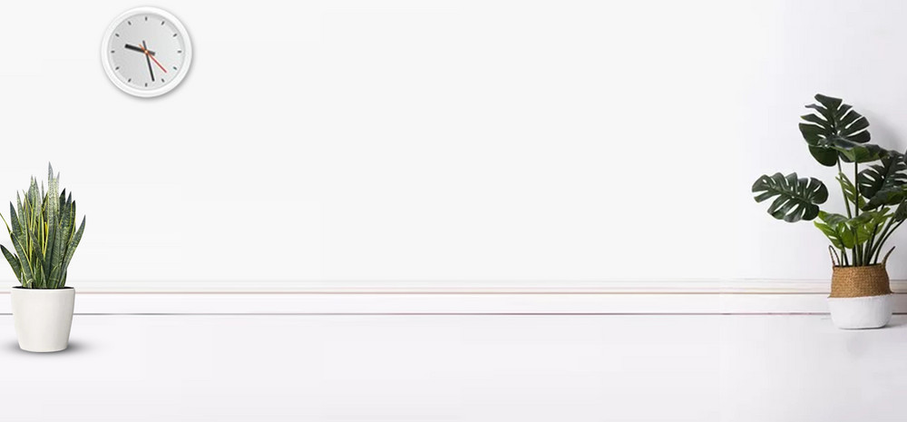 白色简约家居绿植盆栽空间背景