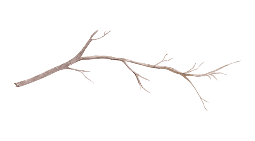 树干图片大全_树干图片素材【png免费下载】-90设计网