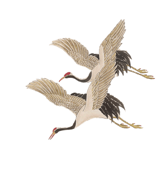 白鹤图片大全_白鹤图片素材【png免费下载】-90设计网