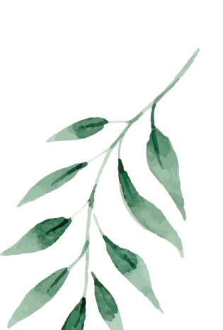 绿色水墨叶子图片大全