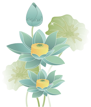 彩绘荷花图片大全