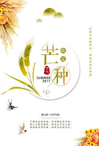 芒种海报图片大全 芒种海报图片素材 Png免费下载 90设计网