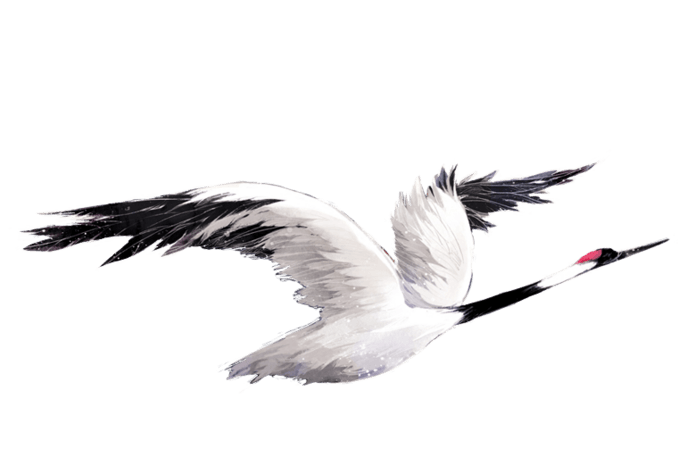 鹤手绘图片大全