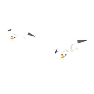 海鸥手绘图片大全