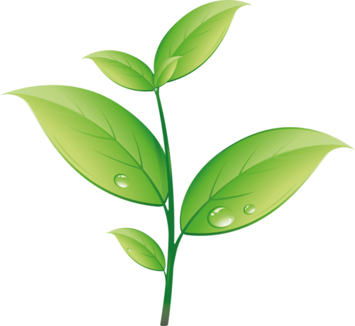小树苗 矢量图片大全_小树苗 矢量图片素材【png免费下载】-90设计网